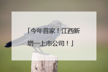今年首家！江西新增一上市公司！
