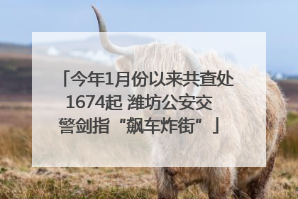 今年1月份以来共查处1674起 潍坊公安交警剑指“飙车炸街”