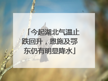 今起湖北气温止跌回升，恩施及鄂东仍有明显降水