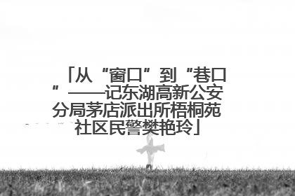 从“窗口”到“巷口”——记东湖高新公安分局茅店派出所梧桐苑社区民警樊艳玲