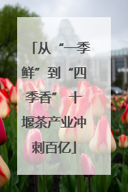 从“一季鲜”到“四季香” 十堰茶产业冲刺百亿