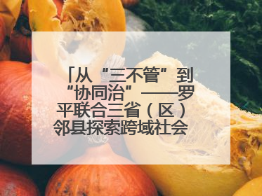 从“三不管”到“协同治”——罗平联合三省（区）邻县探索跨域社会治理新模式