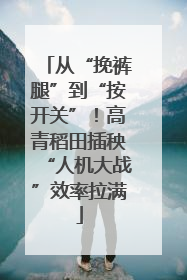 从“挽裤腿”到“按开关”！高青稻田插秧“人机大战”效率拉满