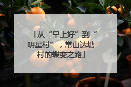 从“早上好”到“明星村”，常山达塘村的蝶变之路