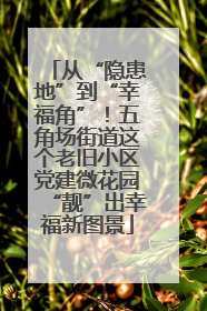 从“隐患地”到“幸福角”！五角场街道这个老旧小区党建微花园“靓”出幸福新图景