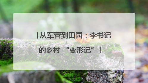 从军营到田园：李书记的乡村 “变形记”