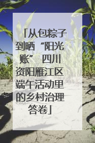 从包粽子到晒“阳光账” 四川资阳雁江区端午活动里的乡村治理答卷