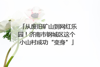 从废旧矿山到网红乐园！济南市钢城区这个小山村成功“变身”