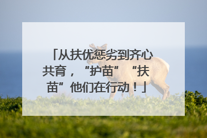 从扶优惩劣到齐心共育，“护苗”“扶苗”他们在行动！