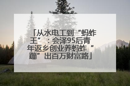 从水电工到“蚂蚱王”：会泽95后青年返乡创业养蚂蚱“蹦”出百万财富路
