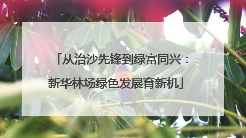 从治沙先锋到绿富同兴：新华林场绿色发展育新机