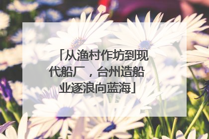 从渔村作坊到现代船厂，台州造船业逐浪向蓝海