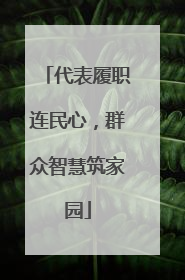代表履职连民心，群众智慧筑家园