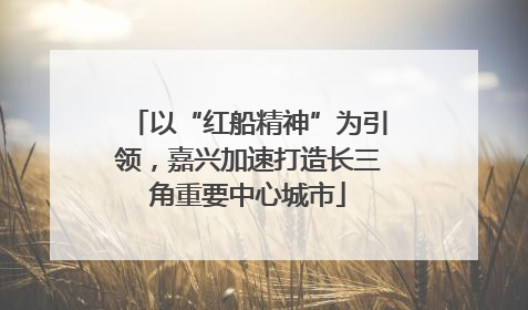 以“红船精神”为引领，嘉兴加速打造长三角重要中心城市