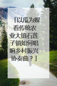 以瓜为媒 看传统农业大镇石莲子镇如何唱响乡村振兴协奏曲？