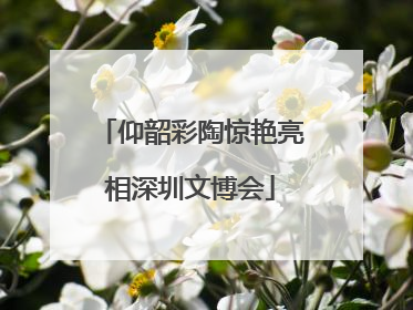 仰韶彩陶惊艳亮相深圳文博会