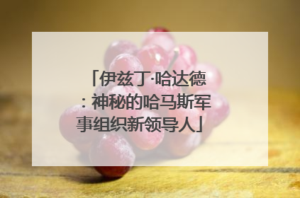 伊兹丁·哈达德：神秘的哈马斯军事组织新领导人