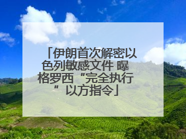 伊朗首次解密以色列敏感文件 曝格罗西“完全执行”以方指令