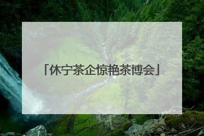 休宁茶企惊艳茶博会