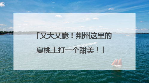 又大又脆！荆州这里的夏桃主打一个甜美！