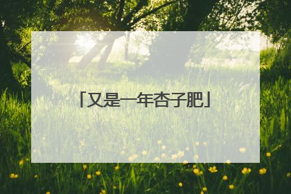 又是一年杏子肥
