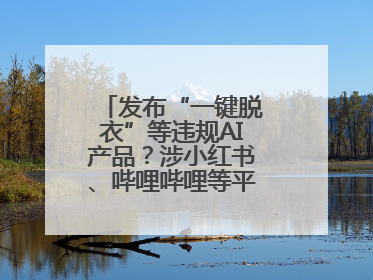 发布“一键脱衣”等违规AI产品？涉小红书、哔哩哔哩等平台！上海出手