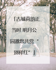 古城荷韵正当时 明月公园邀您共赏“别样红”