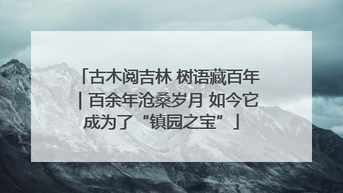 古木阅吉林 树语藏百年｜百余年沧桑岁月 如今它成为了“镇园之宝”