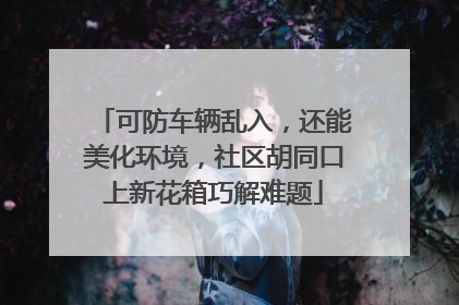 可防车辆乱入，还能美化环境，社区胡同口上新花箱巧解难题