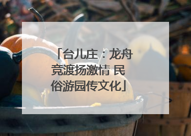 台儿庄：龙舟竞渡扬激情 民俗游园传文化