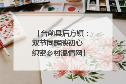 台前县后方镇：双节同辉映初心 织密乡村温情网