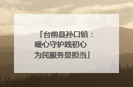 台前县孙口镇：暖心守护践初心 为民服务显担当