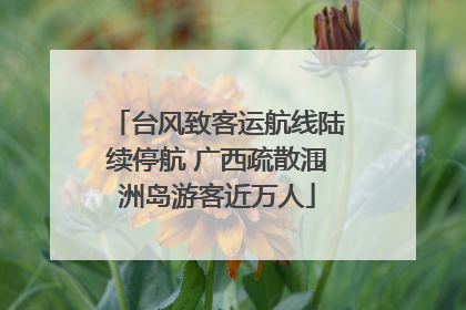 台风致客运航线陆续停航 广西疏散涠洲岛游客近万人