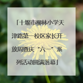 十堰市柳林小学天津路第一校区家长开放周暨庆“六一”系列活动圆满落幕