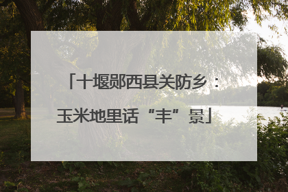 十堰郧西县关防乡：玉米地里话“丰”景