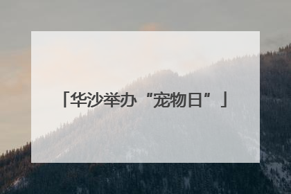 华沙举办“宠物日”