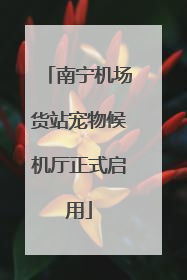 南宁机场货站宠物候机厅正式启用