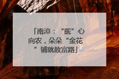 南漳：“医”心向农，朵朵“金花”铺就致富路