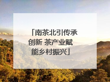 南茶北引传承创新 茶产业赋能乡村振兴