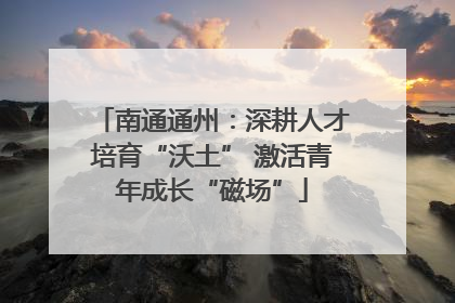 南通通州：深耕人才培育“沃土” 激活青年成长“磁场”