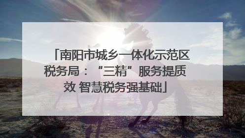 南阳市城乡一体化示范区税务局：“三精”服务提质效 智慧税务强基础