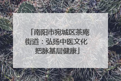 南阳市宛城区茶庵街道：弘扬中医文化 把脉基层健康