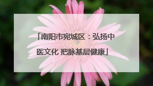 南阳市宛城区：弘扬中医文化 把脉基层健康