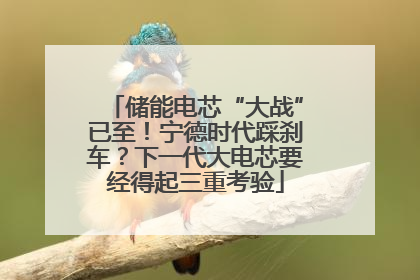 储能电芯“大战”已至！宁德时代踩刹车？下一代大电芯要经得起三重考验