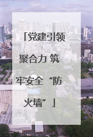 党建引领聚合力 筑牢安全“防火墙”