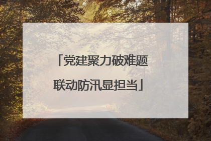 党建聚力破难题 联动防汛显担当