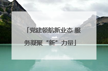 党建领航新业态 服务凝聚“新”力量