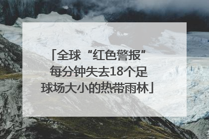 全球“红色警报”  每分钟失去18个足球场大小的热带雨林