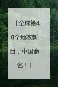 全球第40个地衣新目，中国命名！