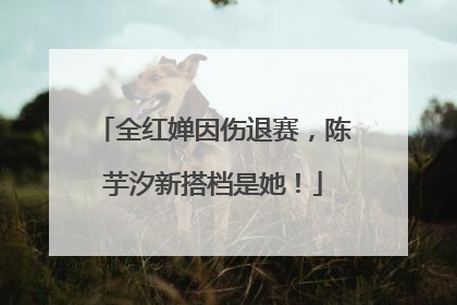 全红婵因伤退赛，陈芋汐新搭档是她！